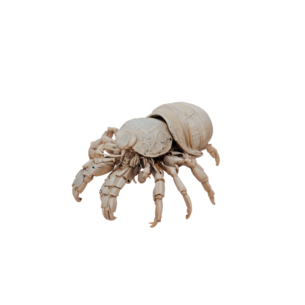 Mini Realistic Flexi Hermit Crab