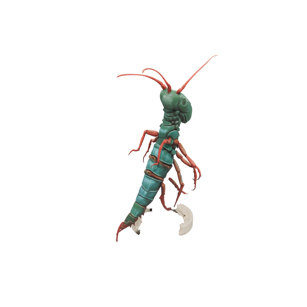 Mini Realistic Flexi Mantis Shrimp