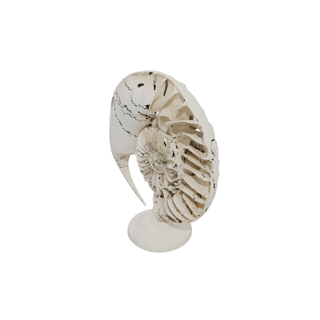 Mini Realistic Flexi Nautilus