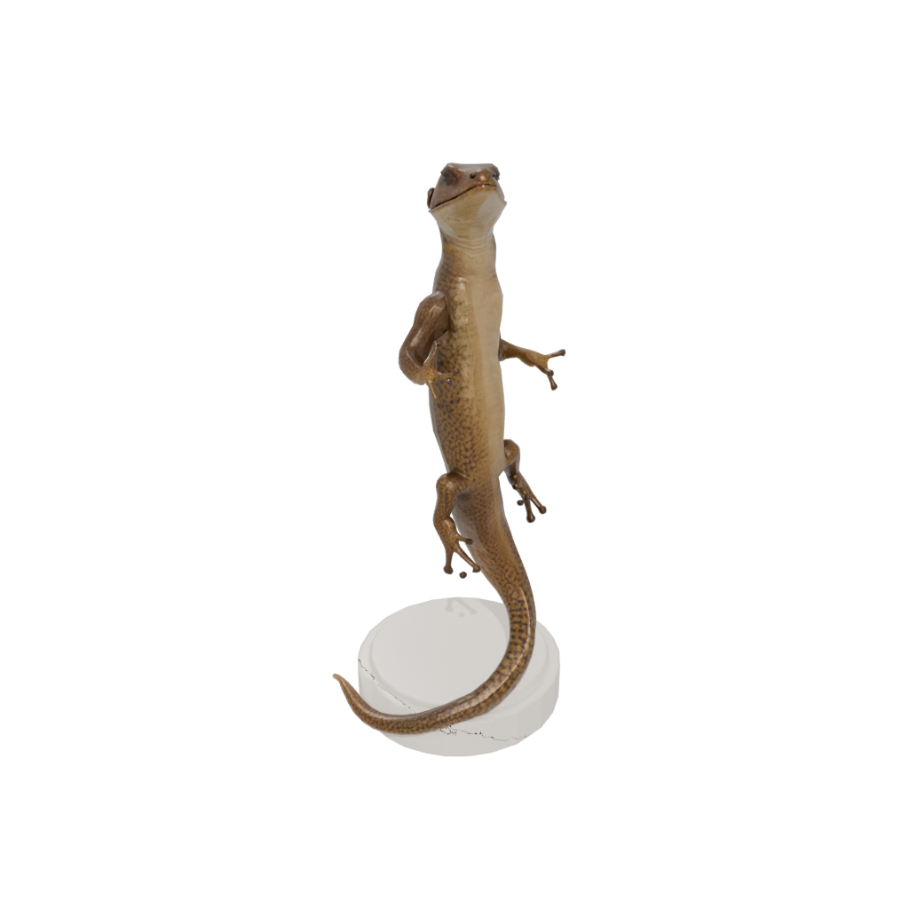 Mini Realistic Flexi Newt