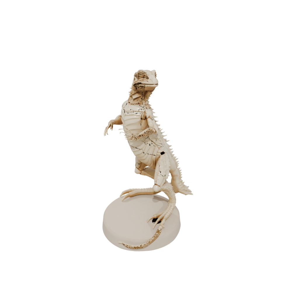 Mini Skeleton Flexi Bearded Dragon
