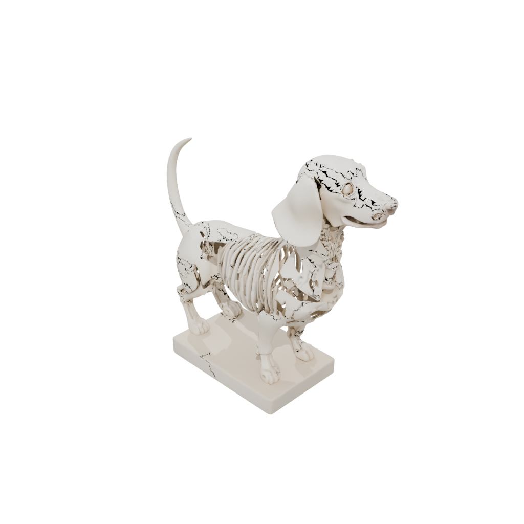 Mini Skeleton Flexi Dachshund Dog