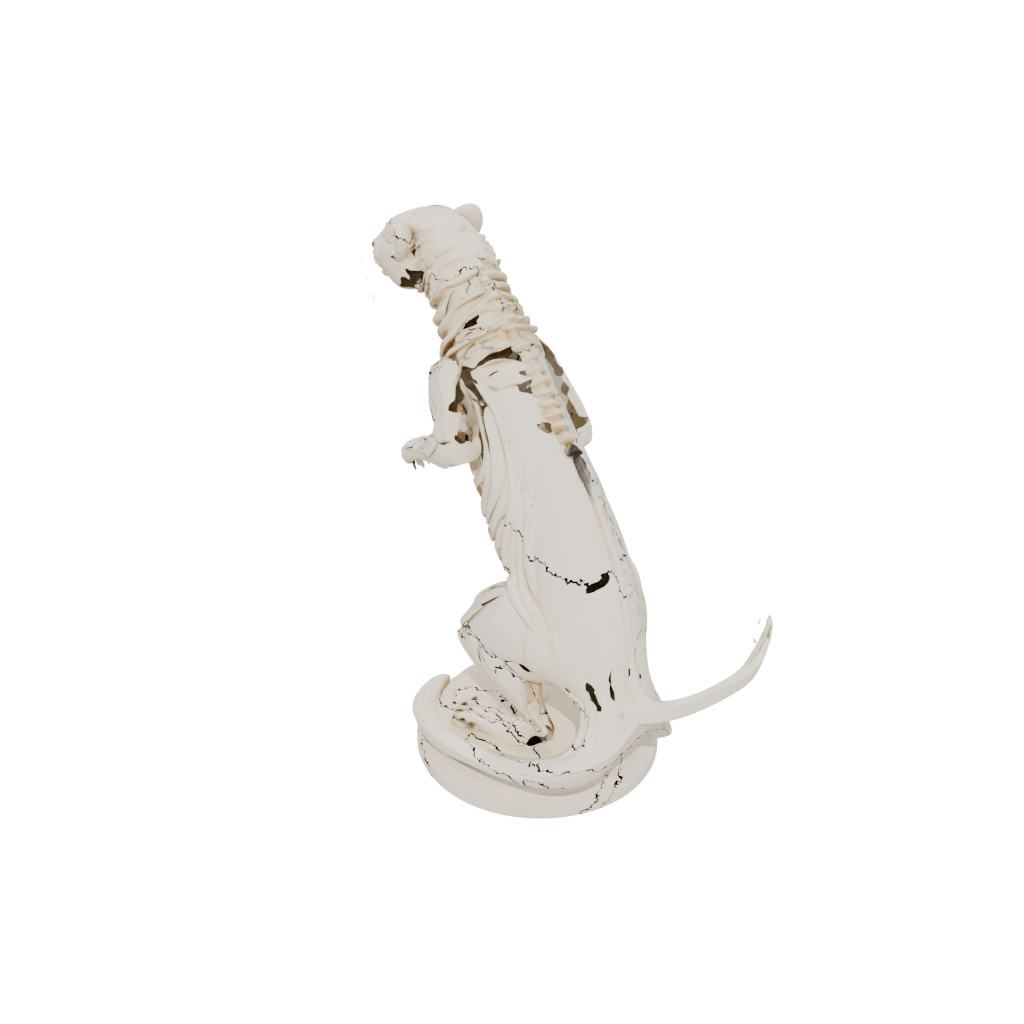 Mini Skeleton Flexi Ferret