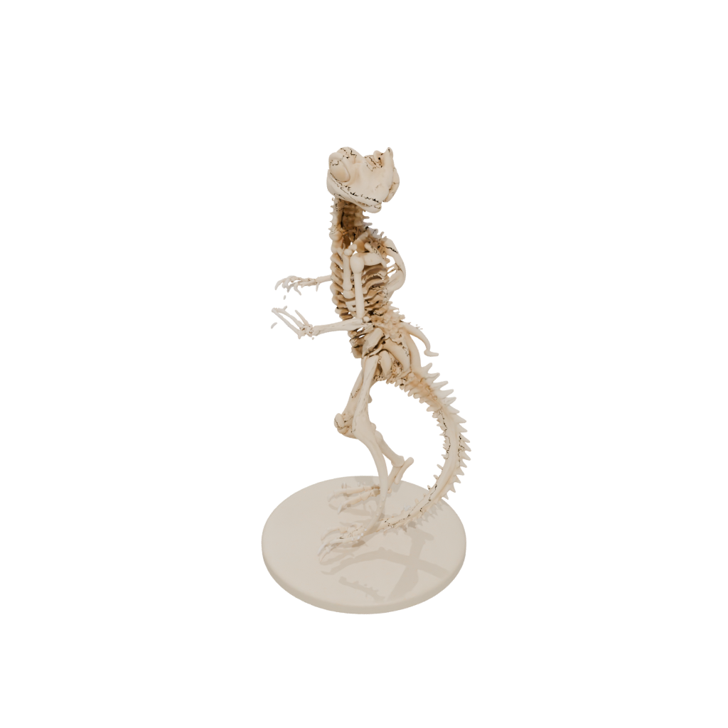 Mini Skeleton Flexi Gecko