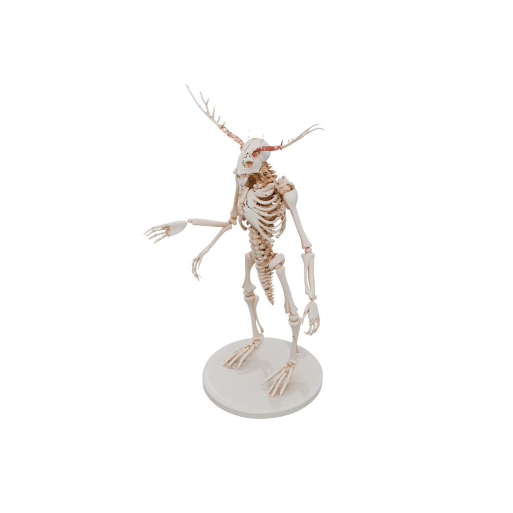 Mini Skeleton Flexi Lobster