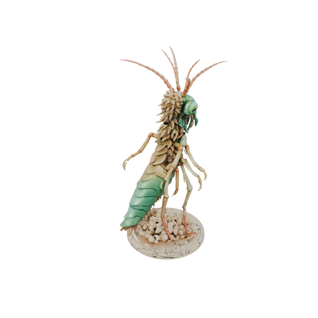 Mini Skeleton Flexi Mantis Shrimp