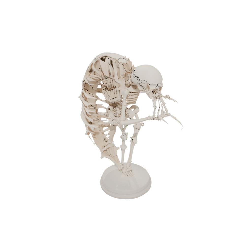 Mini Skeleton Flexi Nautilus