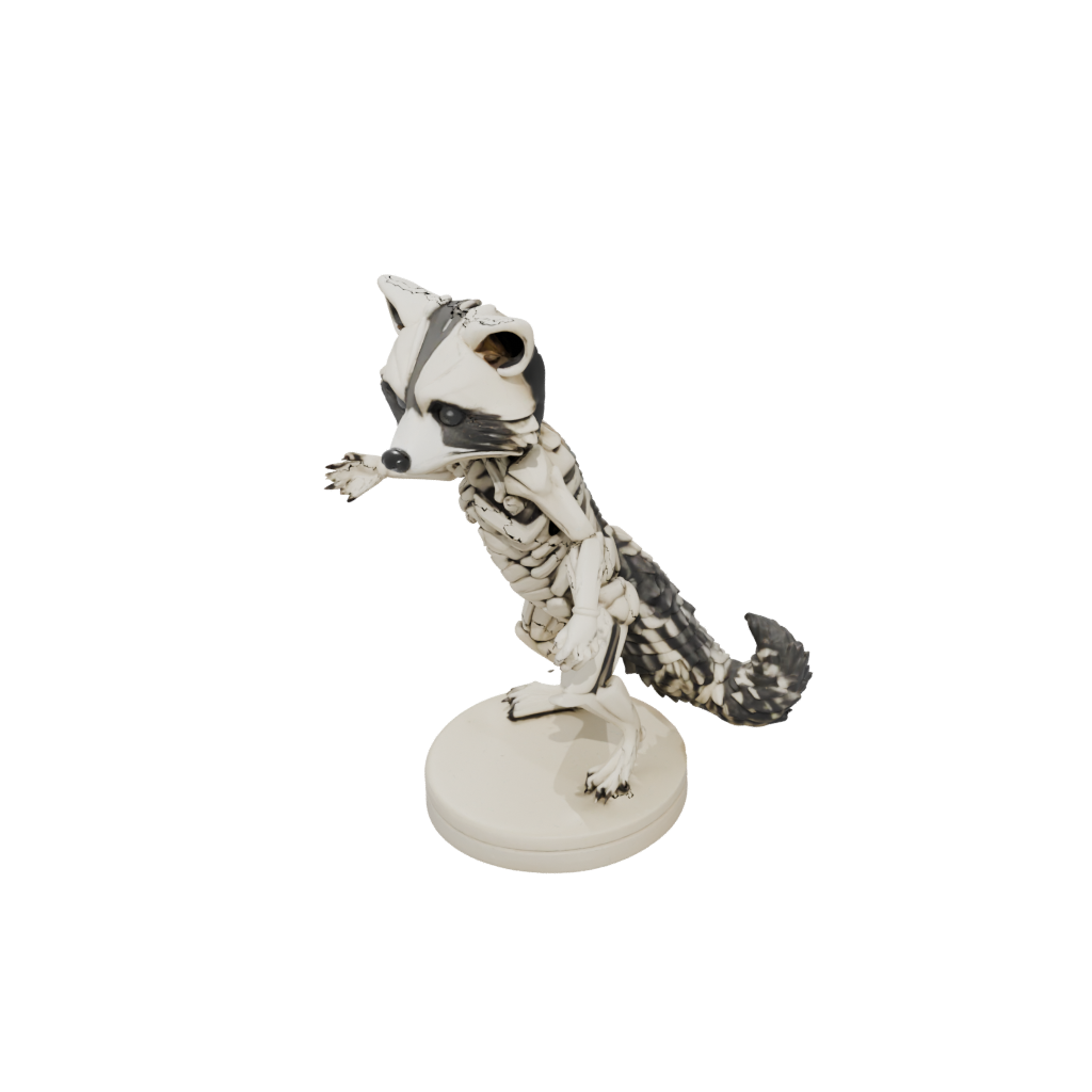 Mini Skeleton Flexi Raccoon