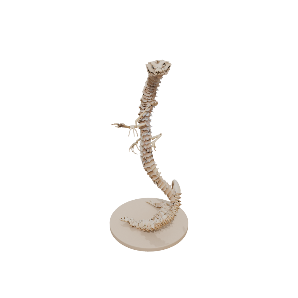 Mini Skeleton Flexi Rattlesnake