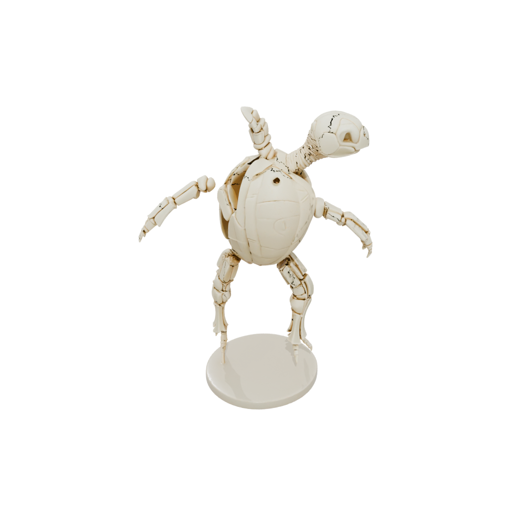 Mini Skeleton Flexi Sea Turtle