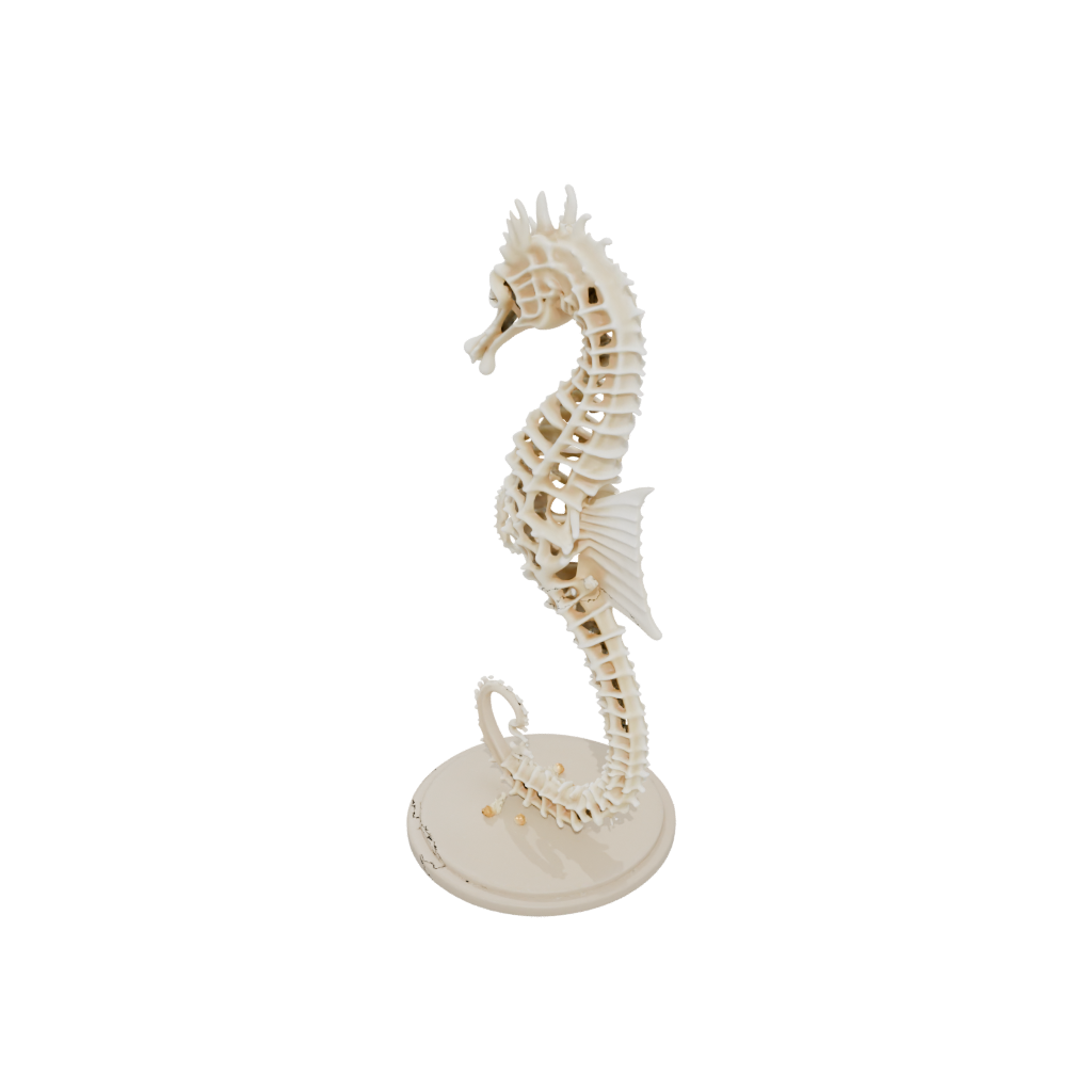 Mini Skeleton Flexi Seahorse