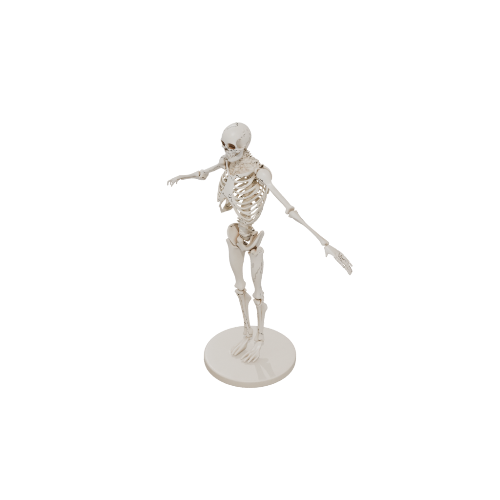 Mini Skeleton Flexi Stingray