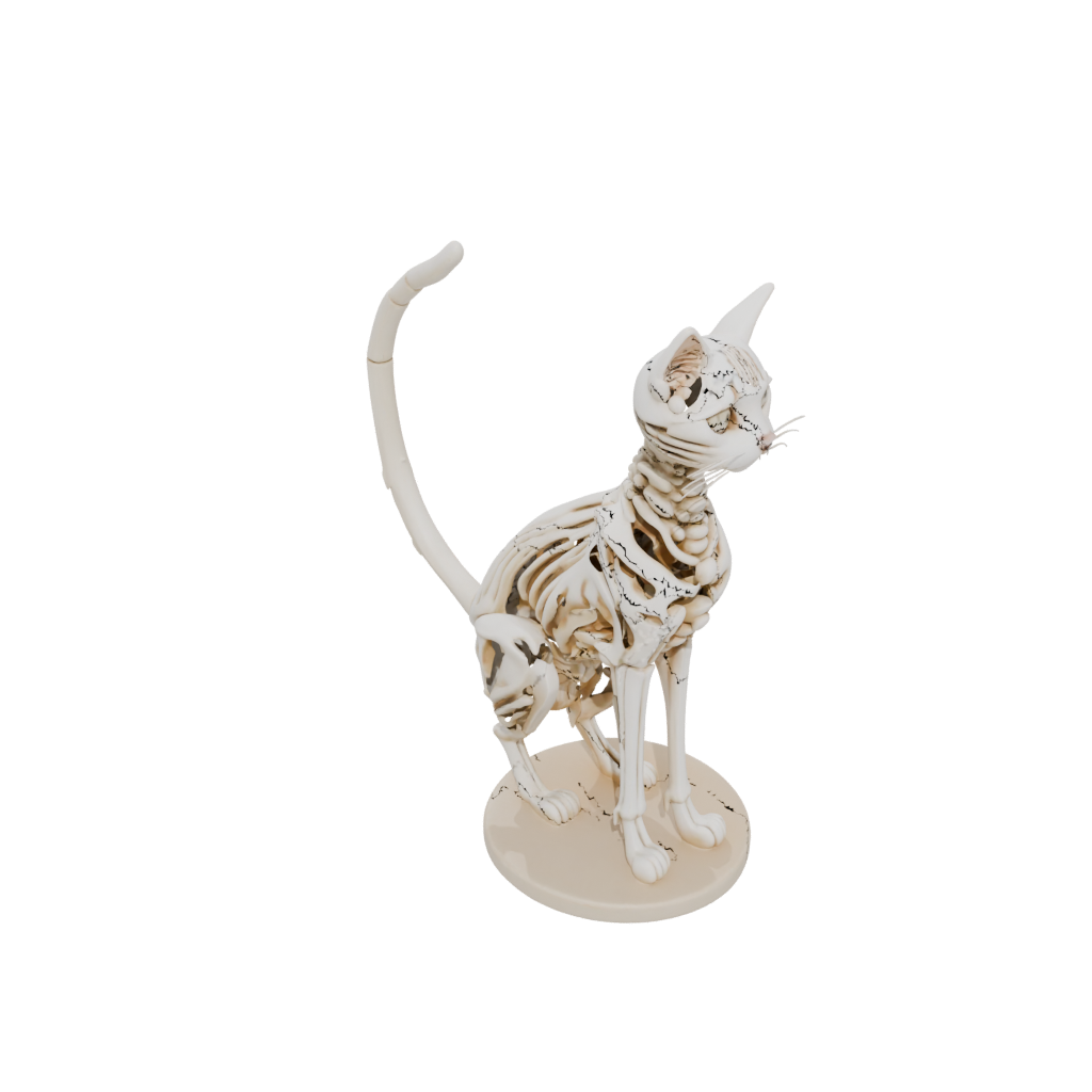 Mini Skeleton Flexi Tabby Cat