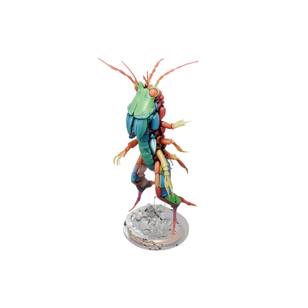 Neon Flexi Mantis Shrimp