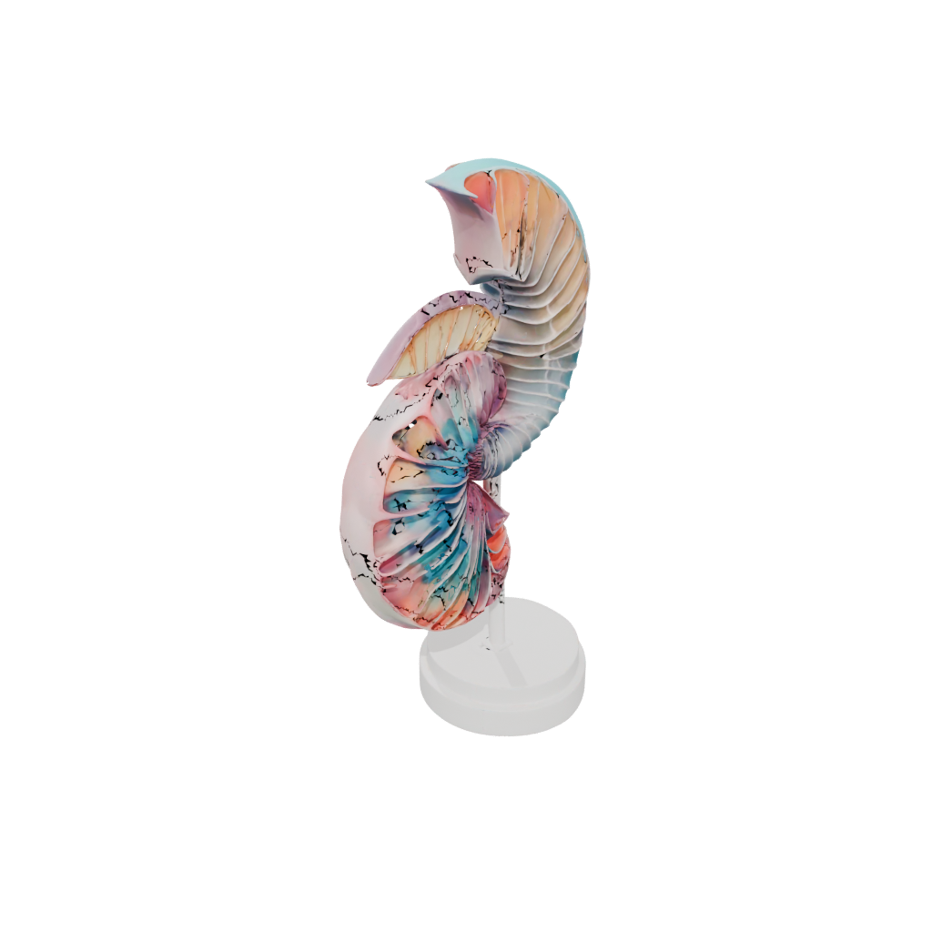 Neon Flexi Nautilus