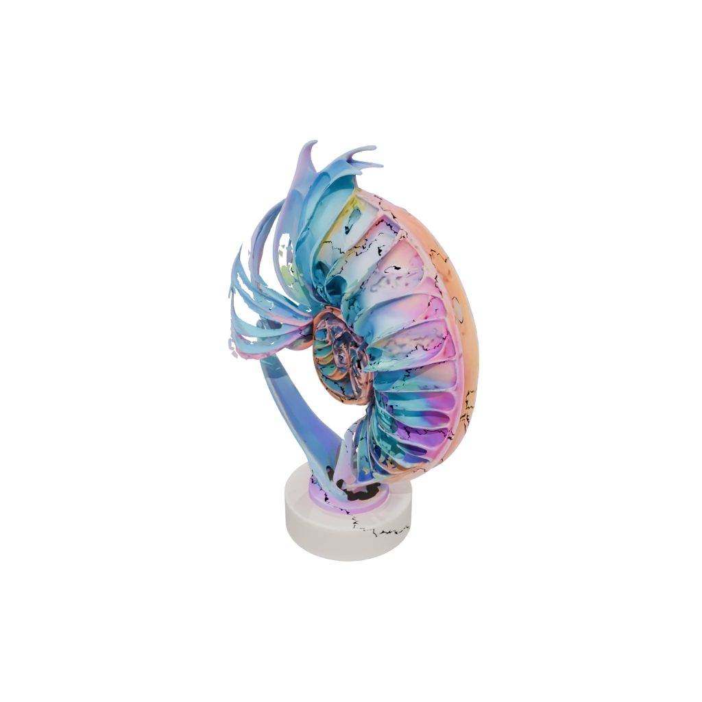 Neon Geo Flexi Nautilus