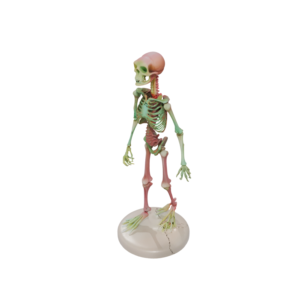 Neon Skeleton Flexi Newt