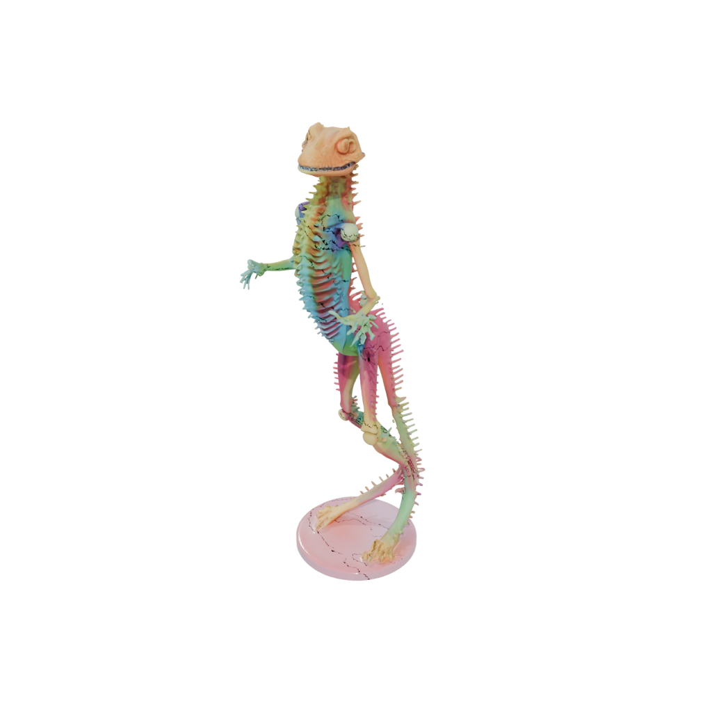 Neon Skeleton Flexi Salamander