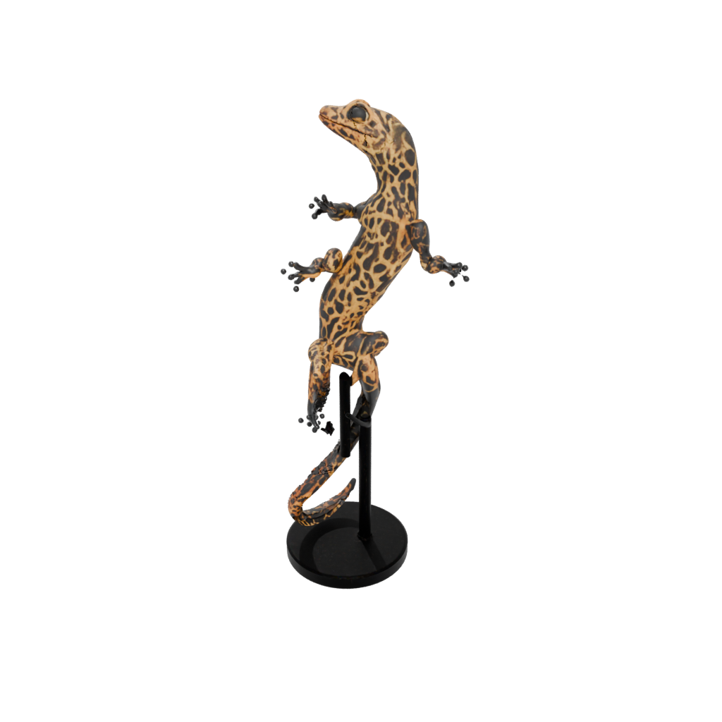 Obsidian Floral Flexi Leopard Gecko