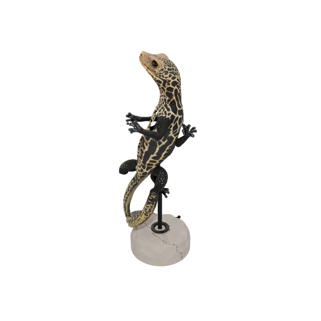 Obsidian Realistic Flexi Leopard Gecko