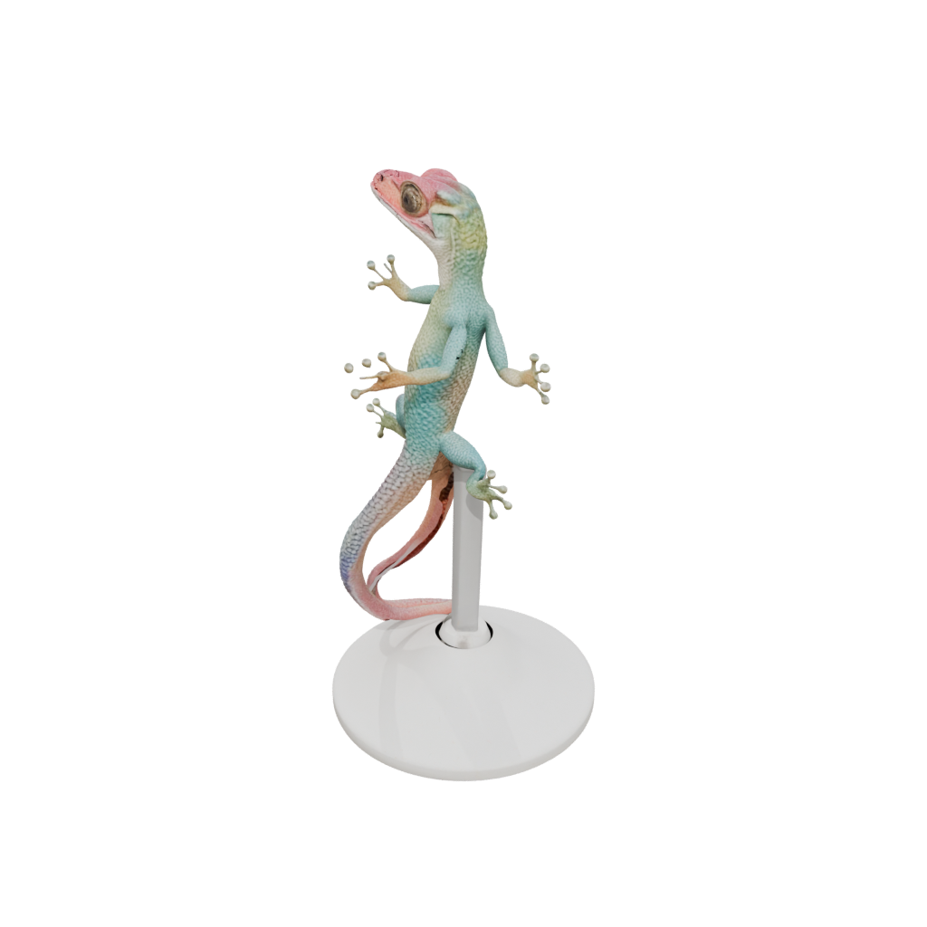 Pastel Realistic Flexi Gecko
