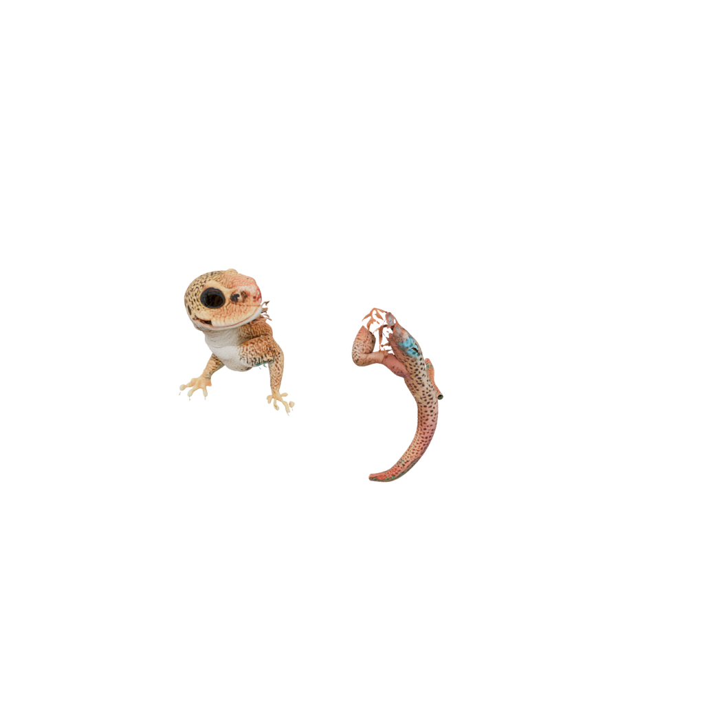 Pastel Realistic Flexi Leopard Gecko