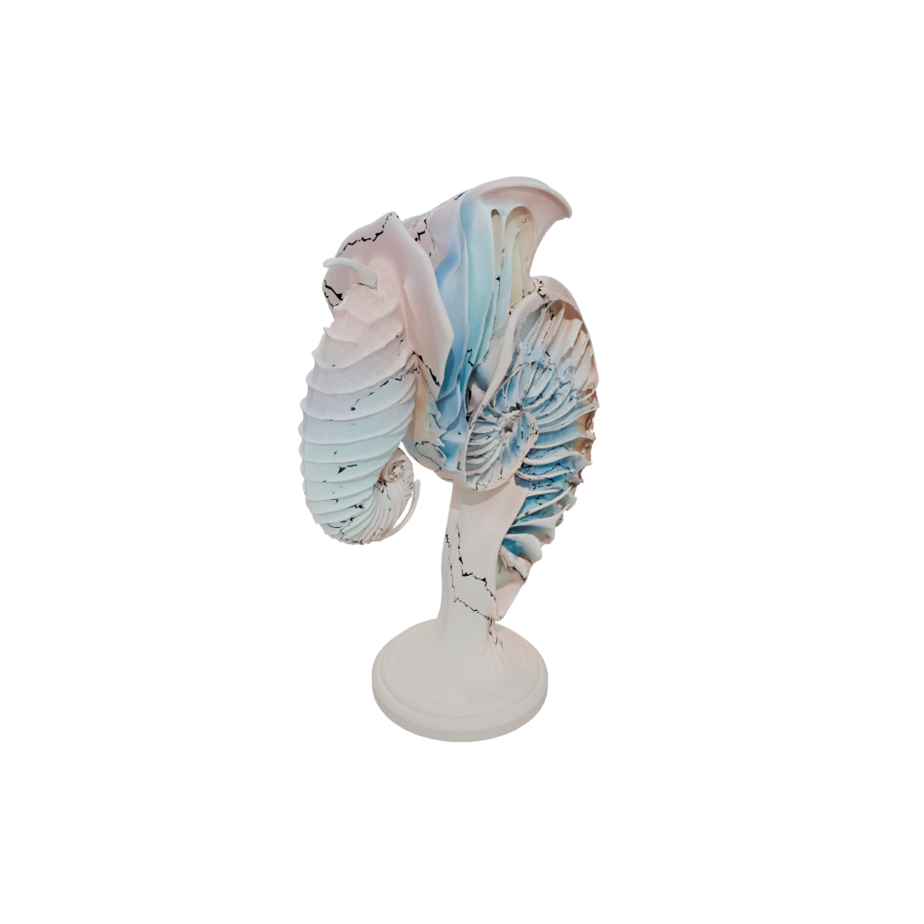 Pastel Realistic Flexi Nautilus