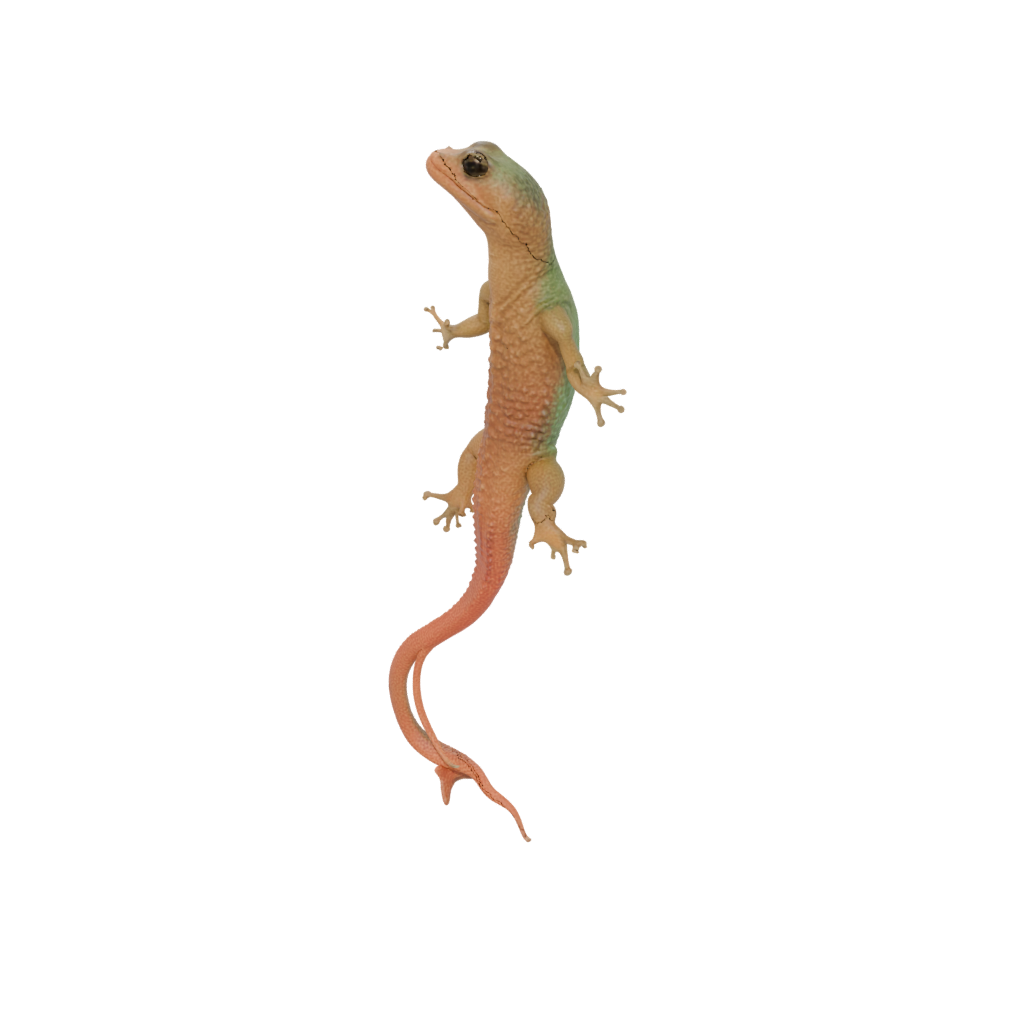 Pastel Realistic Flexi Newt