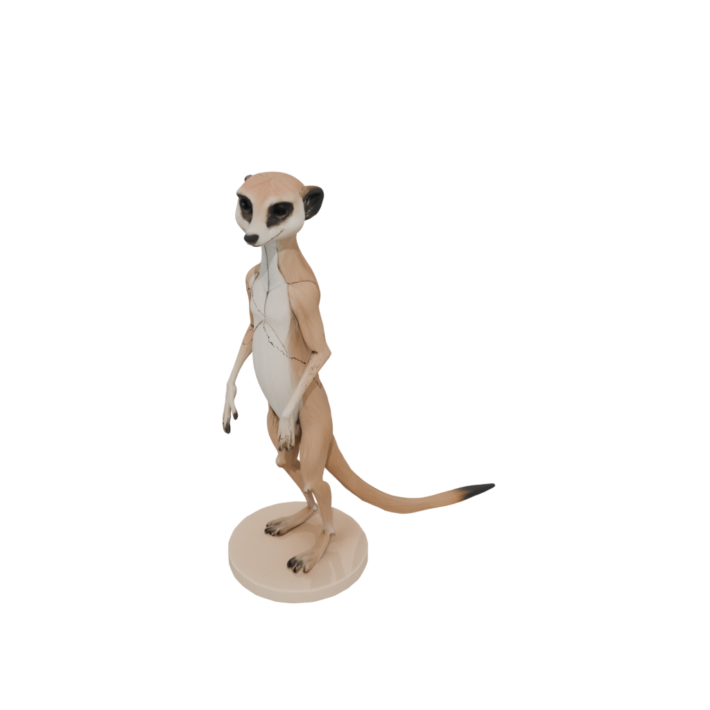 Pastel Skeleton Flexi Meerkat