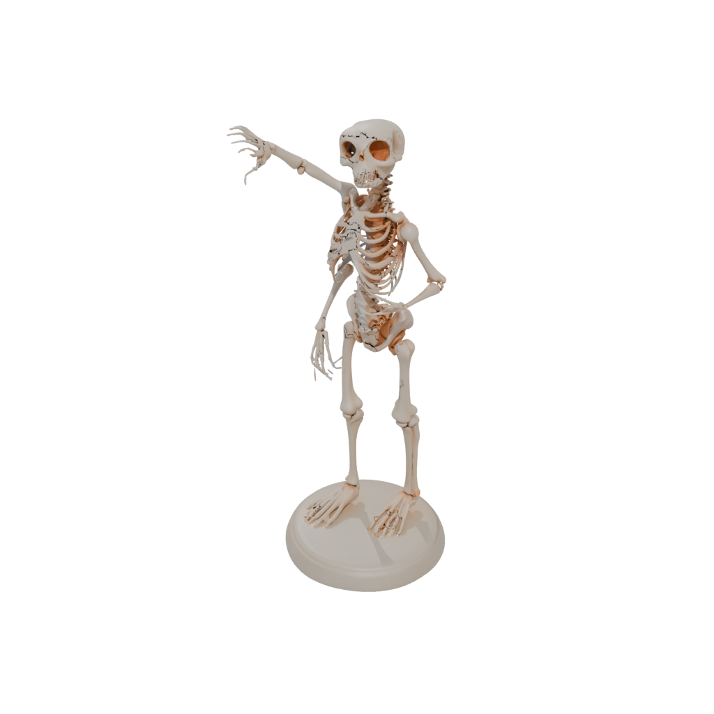 Pastel Skeleton Flexi Newt
