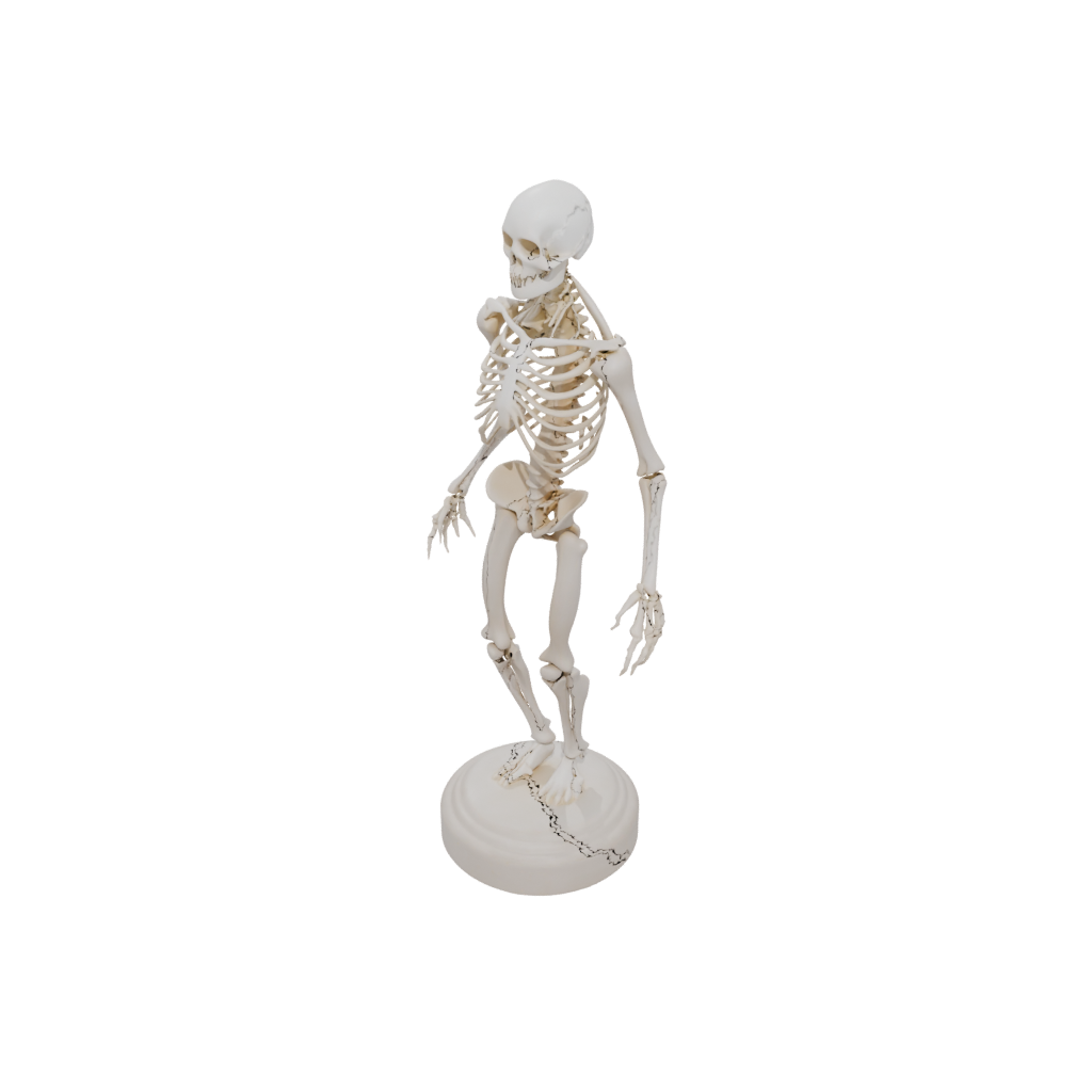 Pastel Skeleton Flexi Stingray