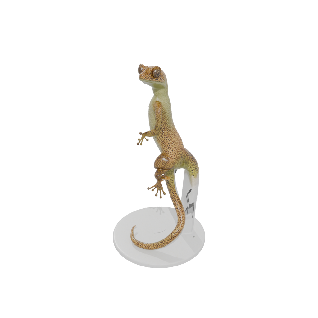Realistic Flexi Gecko