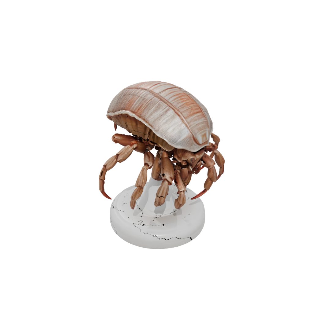 Realistic Flexi Hermit Crab