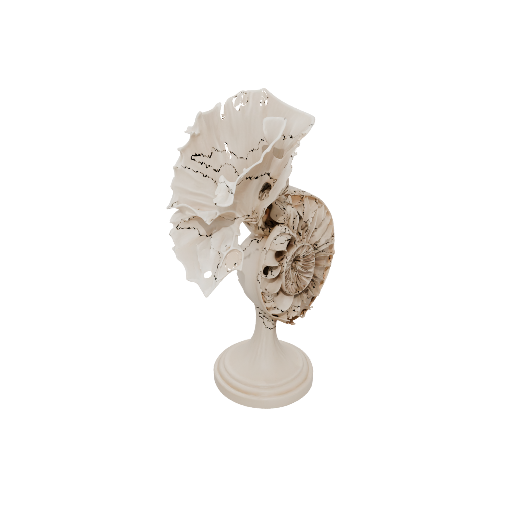 Realistic Flexi Nautilus