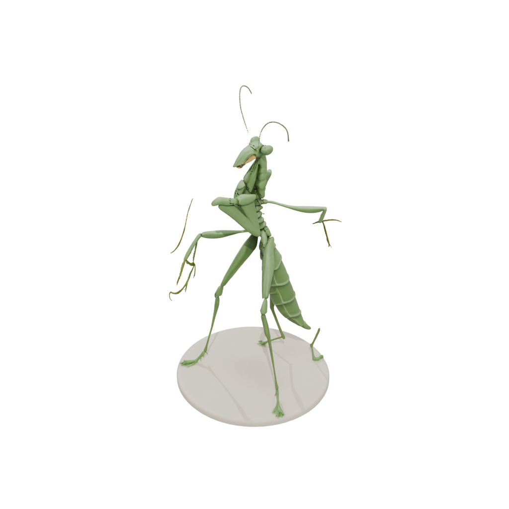 Realistic Flexi Praying Mantis