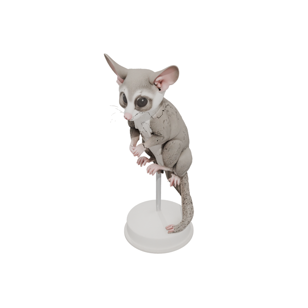 Realistic Flexi Sugar Glider