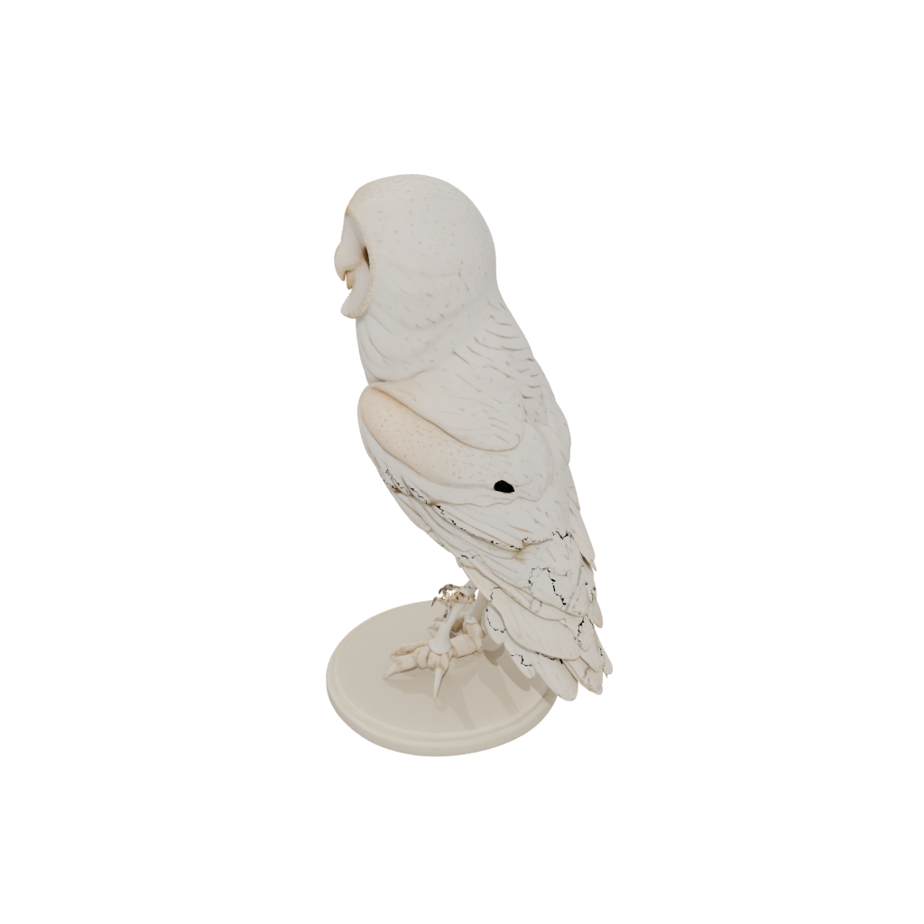 Skeleton Flexi Barn Owl