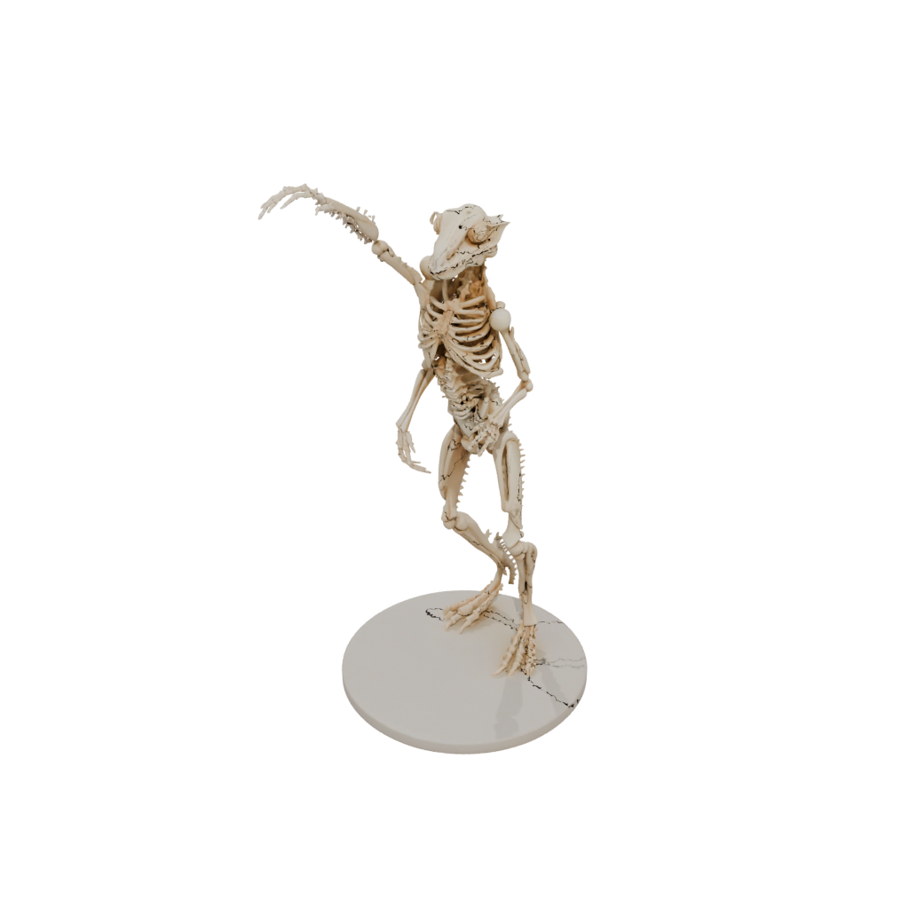 Skeleton Flexi Chameleon