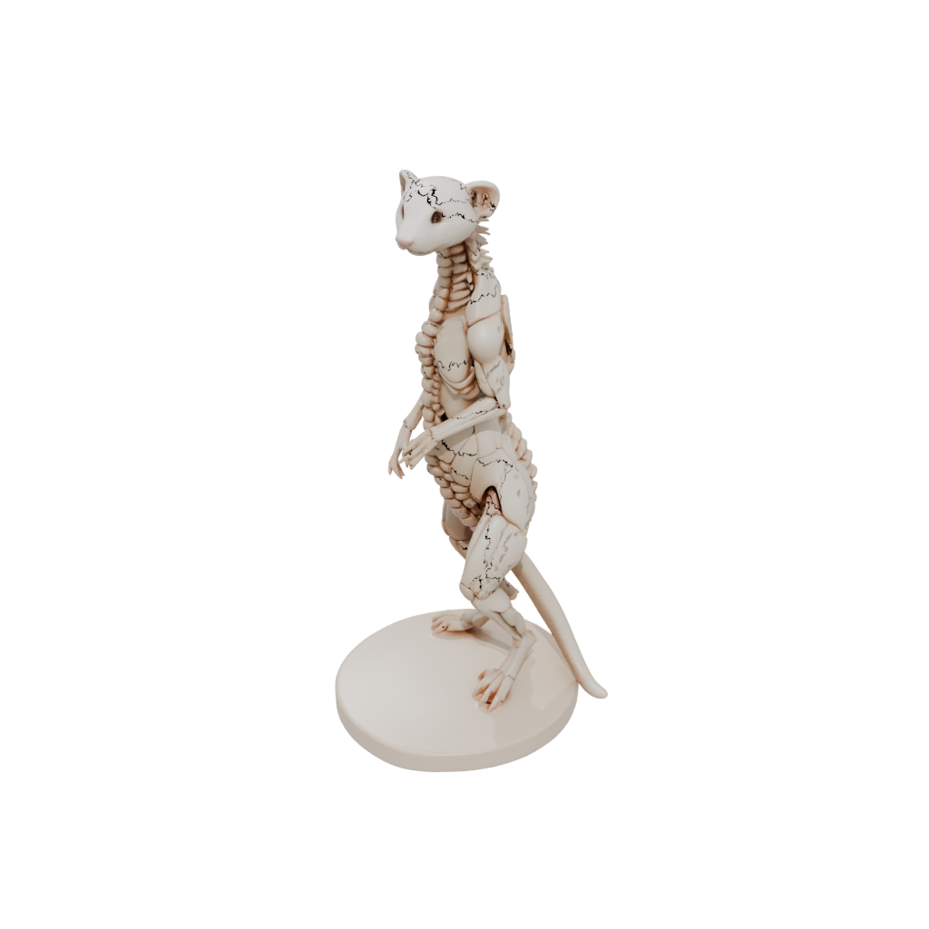 Skeleton Flexi Ferret