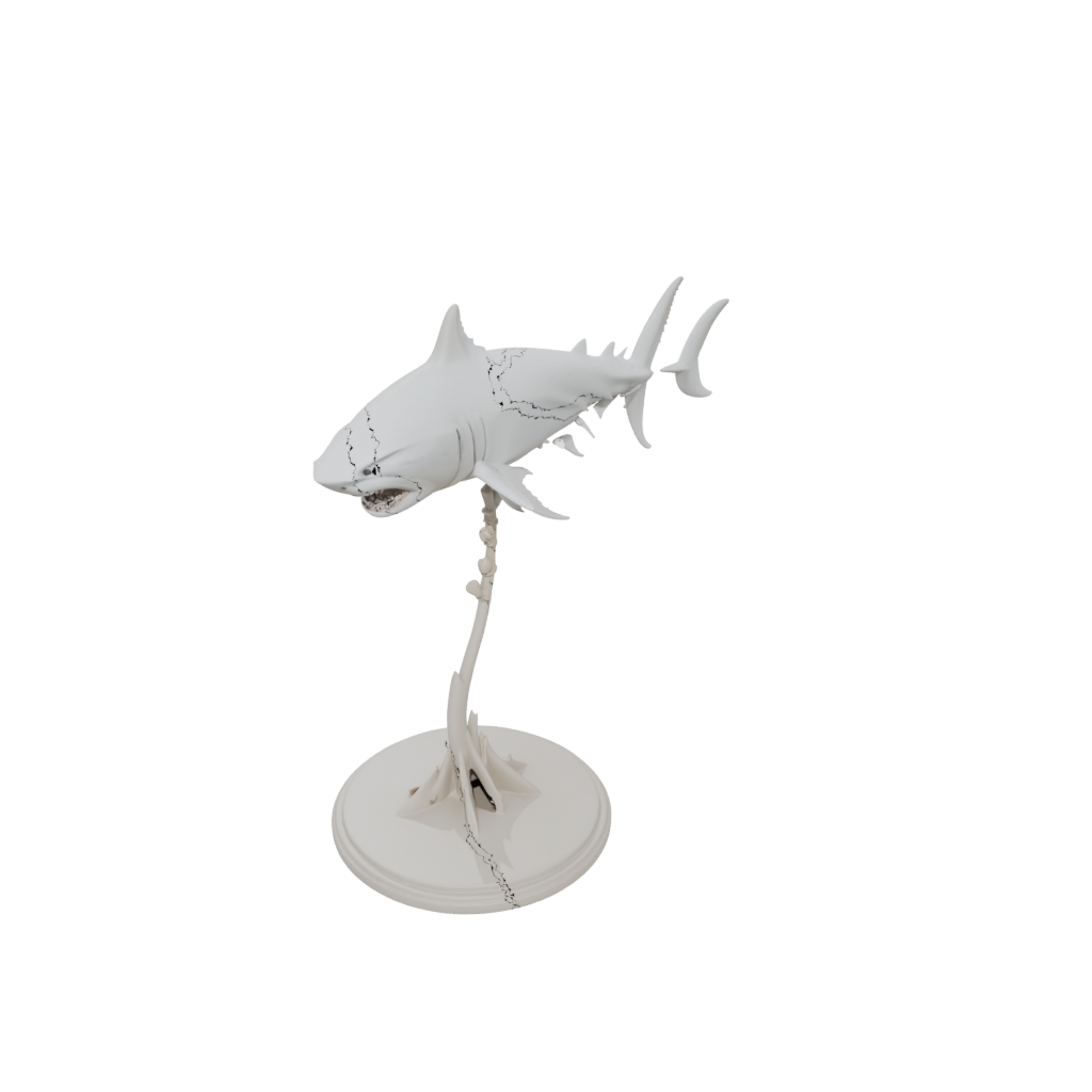 Skeleton Flexi Great White Shark