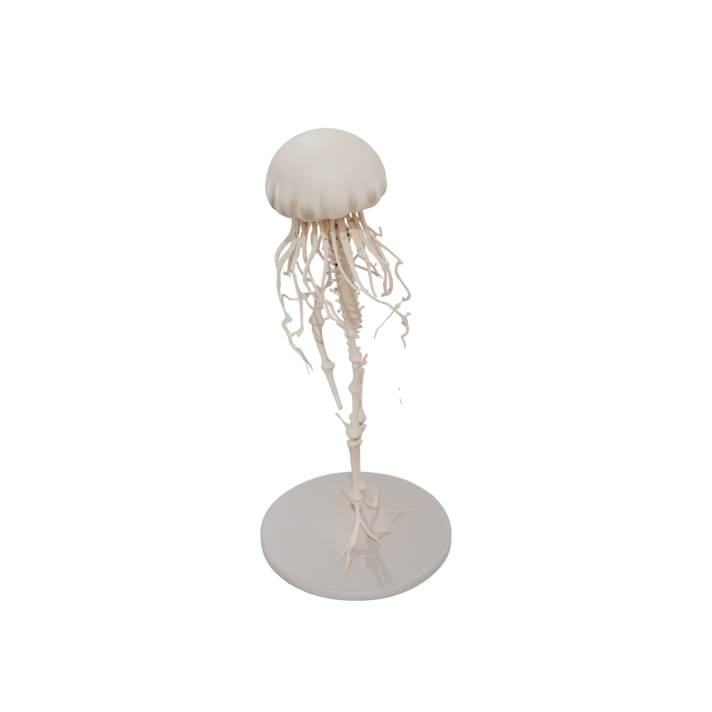 Skeleton Flexi Jellyfish