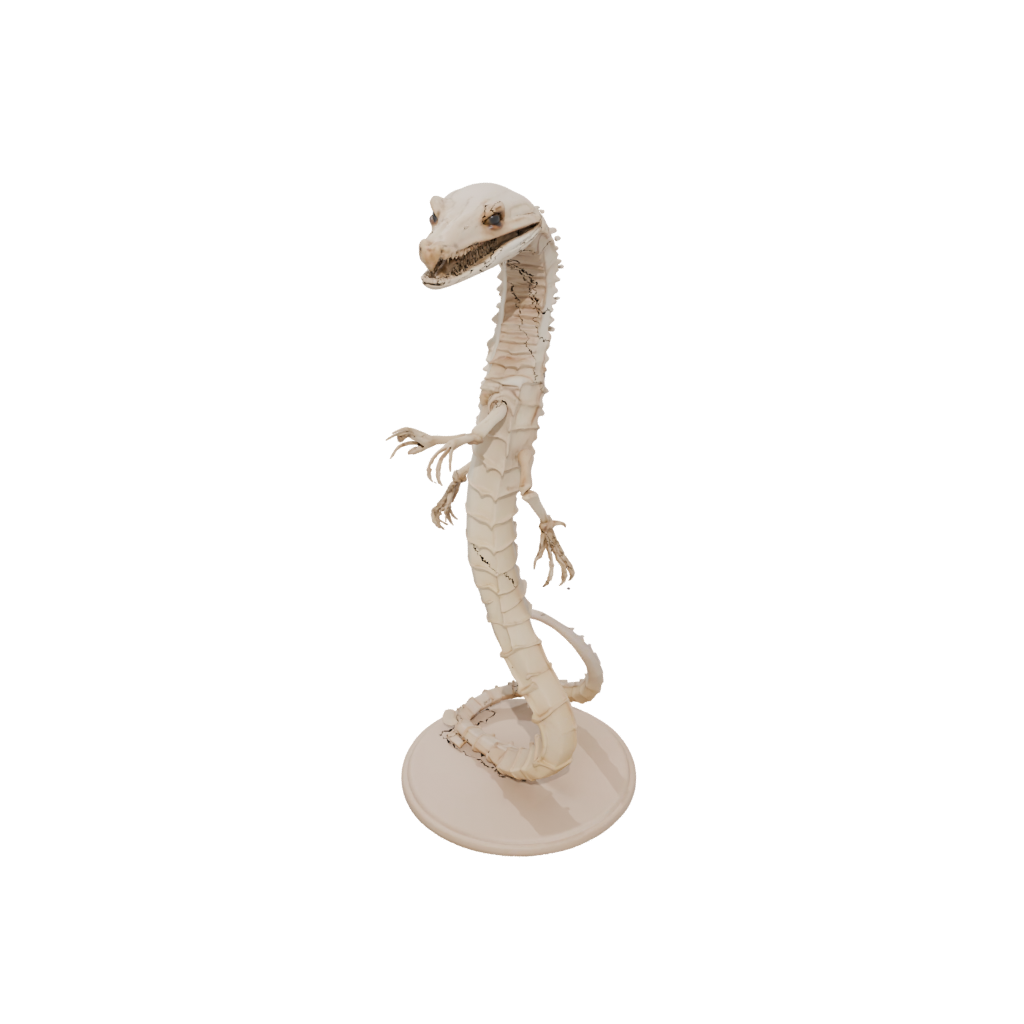 Skeleton Flexi King Cobra
