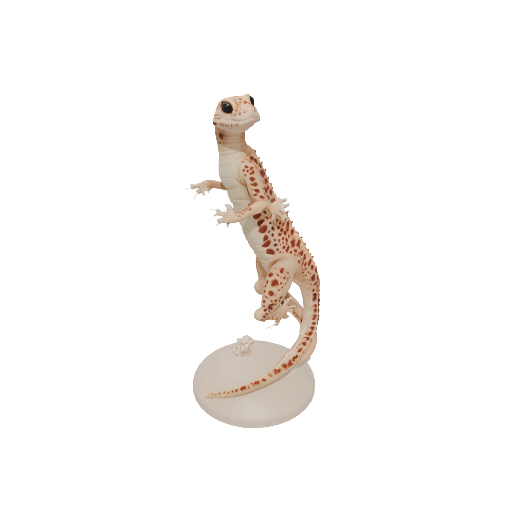 Skeleton Flexi Leopard Gecko