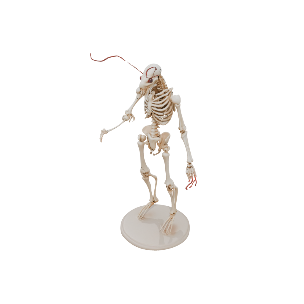 Skeleton Flexi Lobster