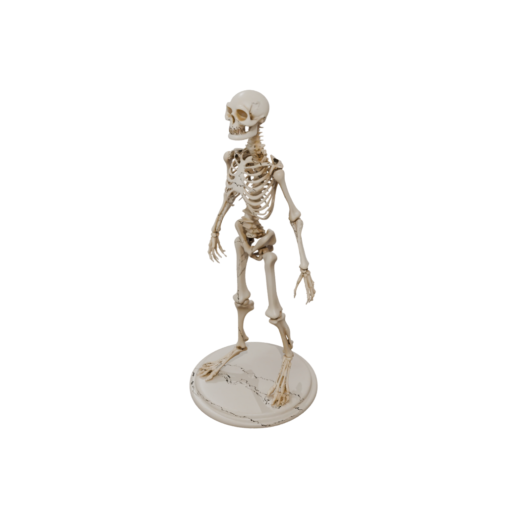 Skeleton Flexi Newt
