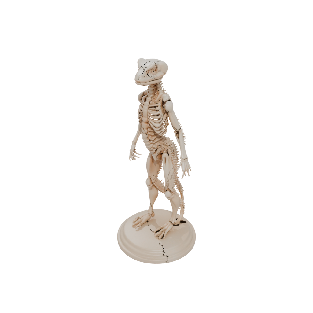 Skeleton Flexi Salamander