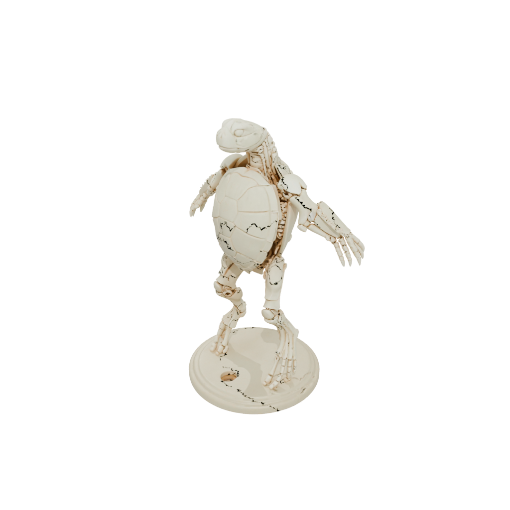 Skeleton Flexi Sea Turtle