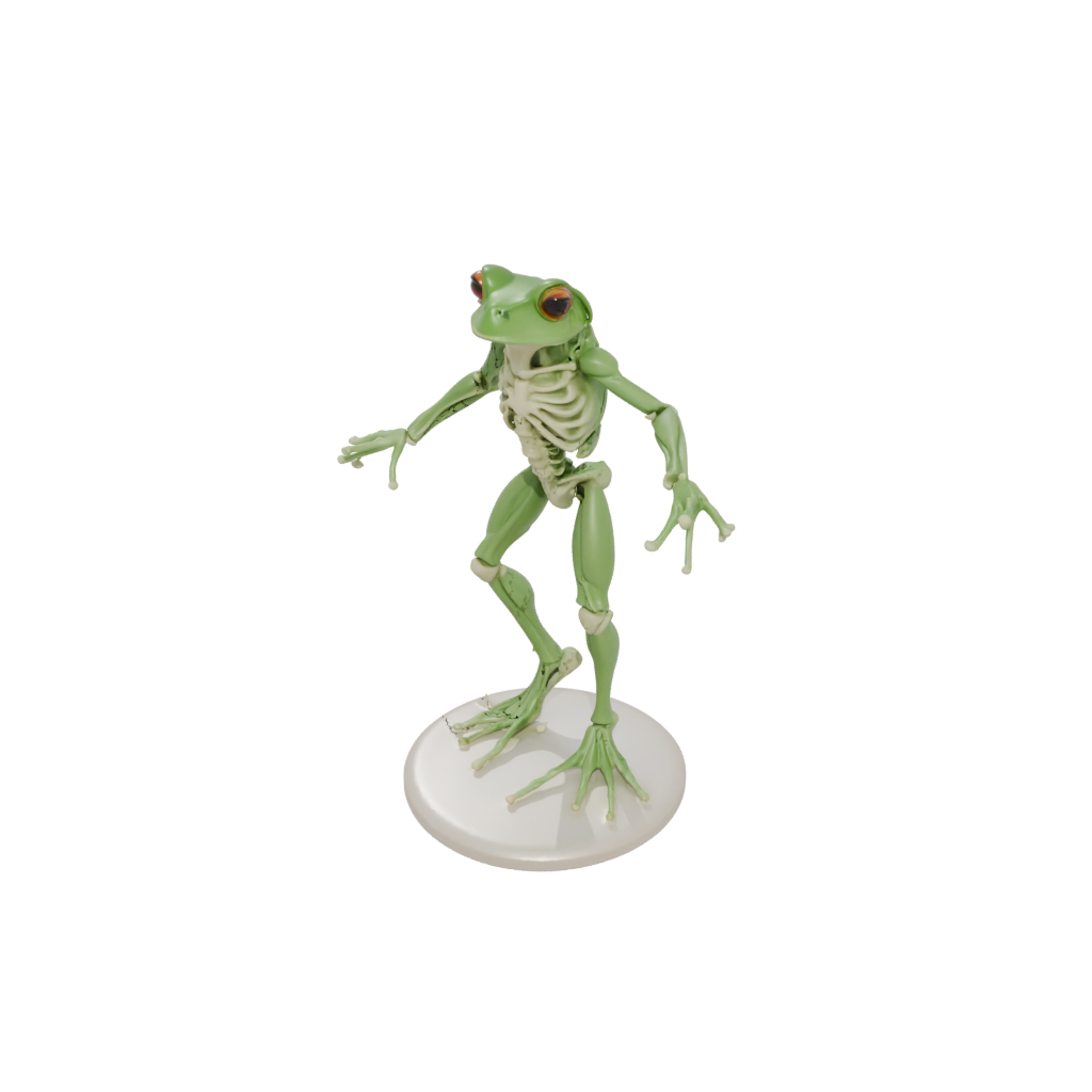Skeleton Flexi Tree Frog