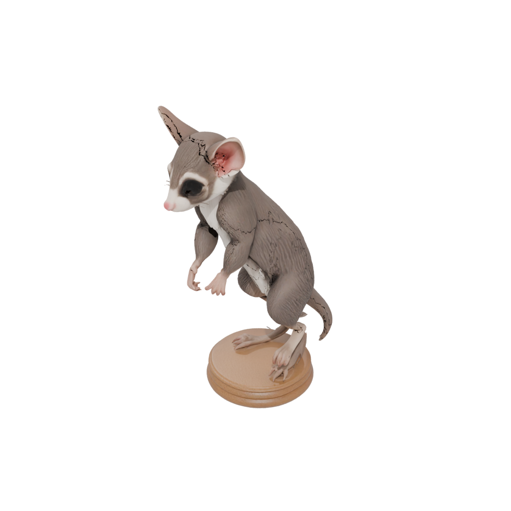 Woodgrain Armored Flexi Sugar Glider