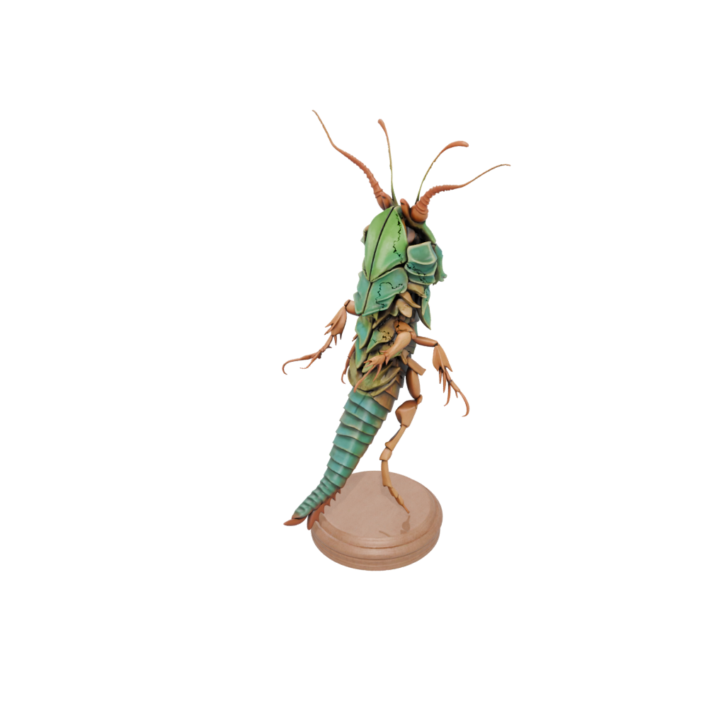Woodgrain Flexi Mantis Shrimp